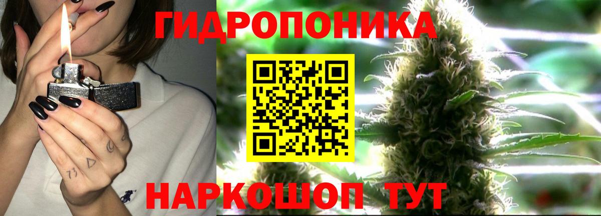 Канабис конопля Чита
